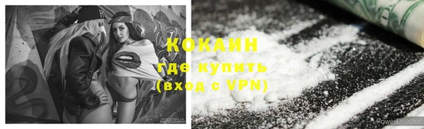 соль ск Алексин