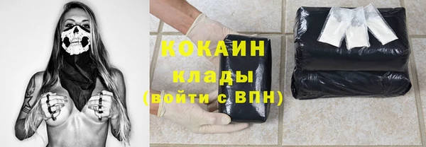 соль ск Алексин