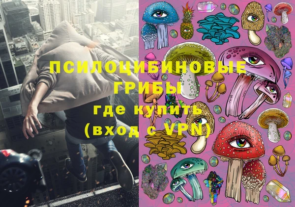 соль ск Алексин