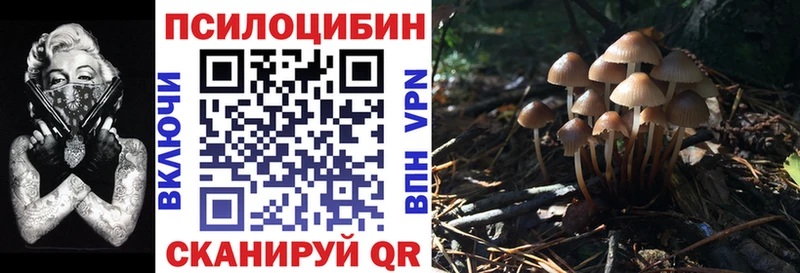 Псилоцибиновые грибы GOLDEN TEACHER это Telegram Дятьково omg вход